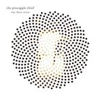 Pineapple Thief, The "One Three Seven"
